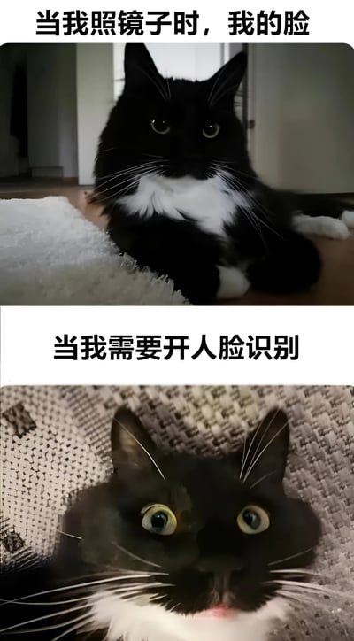 这是一张上下对比的幽默梗图，通过同一只奶牛猫的两种不同表情，调侃人们照镜子时的自我认知与使用人脸识别时的真实状态之间的反差。上图中，猫咪趴在地板上，眼神平静、姿态优雅，配文“当我照镜子时，我的脸”，展现出理想中的自己；下图中，猫咪从编织物后探出头，眼睛瞪得溜圆，嘴巴微张，表情惊讶又带点慌张，配文“当我需要开人脸识别”，生动还原了人脸识别时可能遇到的“系统不认”的窘迫瞬间。