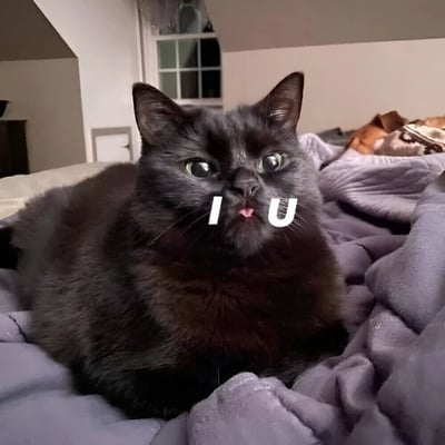 一只表情惊讶的黑猫躺在床上的紫色毯子上，眼睛瞪得很大，嘴巴微张露出舌头。图片在猫的脸部位置叠加了白色的"I"和"U"字母，形成类似"IU"的视觉效果。背景是一个卧室环境，能看到窗户和部分家具。