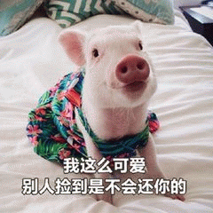 穿花裙子的小猪：别人捡到可不会还哦