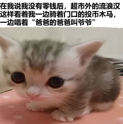 图片上方为黑色文字描述场景：“在我说我没有零钱后，超市外的流浪汉这样看着我一边骑着门口的投币木马，一边唱着‘爸爸的爸爸叫爷爷’”。下方是一张真实拍摄的小猫照片，小猫有着大大的圆眼睛，灰白色的毛发，趴在粉色的表面上，表情呆萌，眼神直视前方，仿佛是对文字中流浪汉行为的困惑反应。文字与小猫表情形成幽默反差，营造出荒诞又搞笑的效果。
