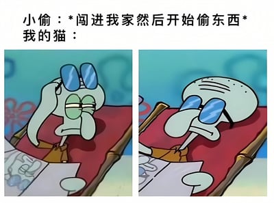 这是一张左右对比的海绵宝宝梗图，上方文字为"小偷：*闯进我家然后开始偷东西* 我的猫："。左侧画面中章鱼哥戴着绿色眼镜，单手扶额，表情显得不耐烦和无奈；右侧画面中章鱼哥换上蓝色太阳镜，身体后仰，表情变得冷漠而不屑。通过章鱼哥前后表情的对比，幽默地表现了当小偷闯进家里时，猫咪可能表现出的漠不关心的态度。