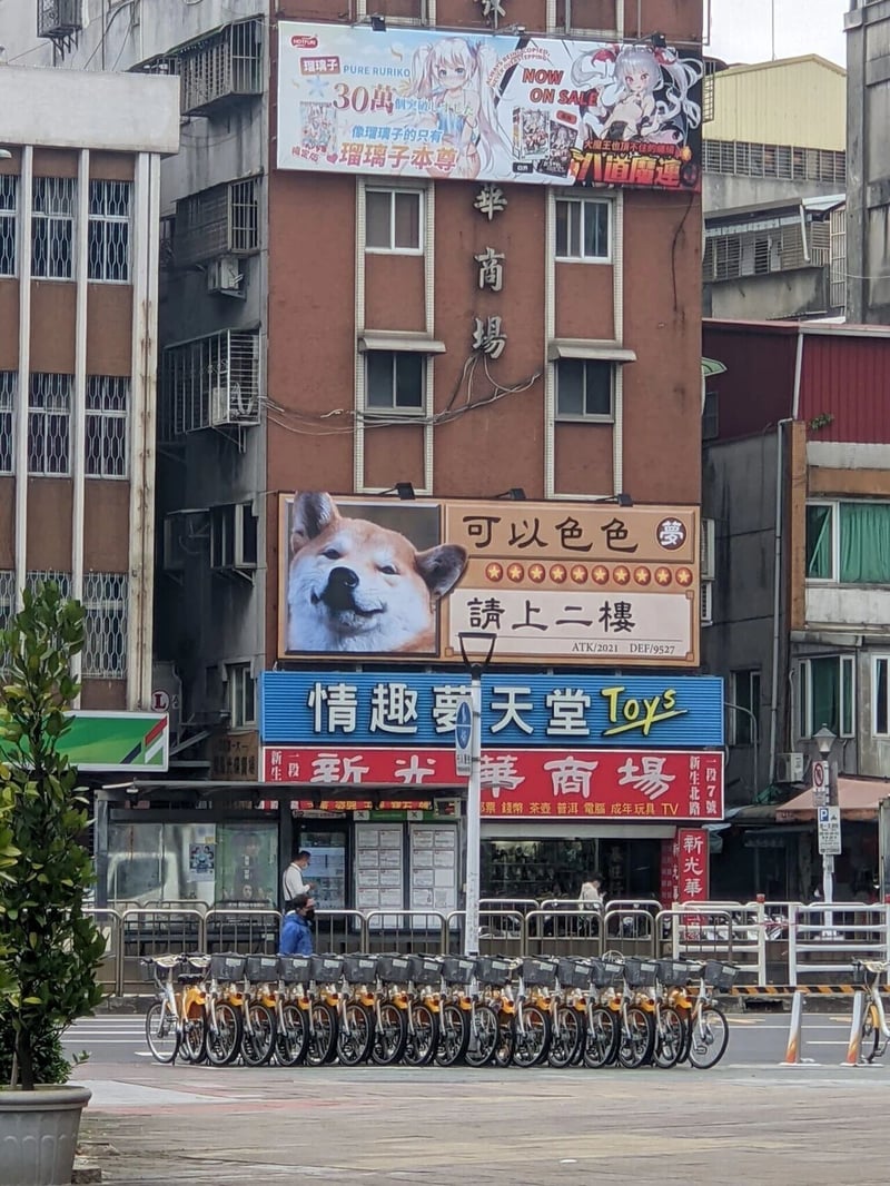 《瑠璃子》