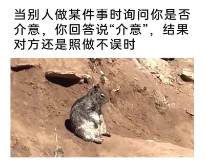 这是一张图文混排的网络表情包，上方的文字描述了生活中常见的尴尬场景：当自己明确对他人的行为表达“介意”的态度后，对方却依旧无视自己的感受照做不误；下方搭配了一只坐在土坡上的松鼠，它的神态无奈又憋屈，身体侧转的姿态仿佛在生闷气，完美地将文字描述的那种无力、郁闷又无处发作的情绪具象化，能够让观者在看到时产生强烈的情绪共鸣，常用于社交场景中调侃自己边界被无视的无奈时刻。