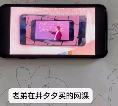 这张图是一张原始拍摄的趣味图片，画面主体是一部手机的屏幕，屏幕内并非直接播放网课，而是呈现出一个手绘的手机图案，在这个手绘手机的“屏幕”中，才是真实的网课画面——一位身着红色外套的讲师正指着紫色背景的屏幕进行内容讲解。图片底部配有文字“老弟在并夕夕买的网课”，其中“并夕夕”是电商平台“拼多多”的谐音，创作者用这种套娃式的夸张画面，调侃拼多多平台上的低价商品常存在“缩水”、质量参差不齐的情况，以幽默的方式表现出低价网课的离谱感，制造出荒诞搞笑的效果。