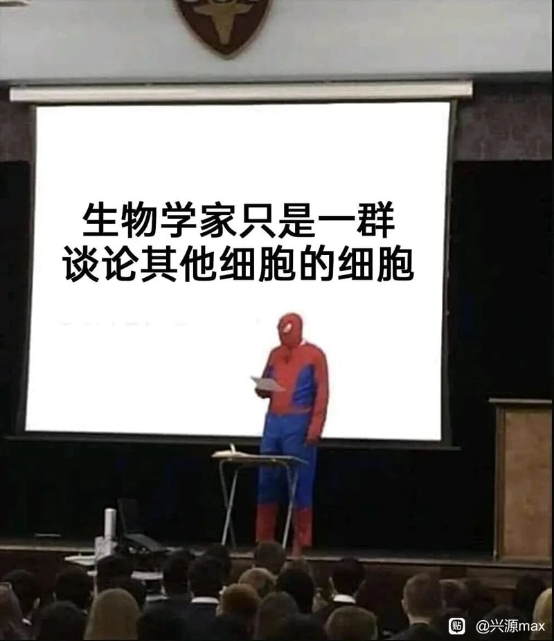 漫威系列影视/漫画
