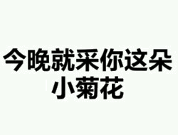 今晚就采你这朵小菊花