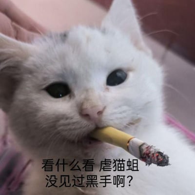 图片为一只白色猫咪的特写，猫咪口中叼着一根点燃的香烟，烟头有灰烬和火星。猫咪眼神锐利，略带不屑地看向镜头，嘴角似乎还有些许污渍。图片底部配有文字：'看什么看 虐猫蛆 没见过黑手啊？'，整体营造出一种挑衅、桀骜不驯的氛围，文字中的'虐猫蛆'是对虐待猫咪者的贬称，带有强烈的批判和怼人意味。