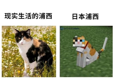 这是一张左右对比的梗图，左侧是现实中坐在花草丛里的三花猫，毛发为黑、白、橘三色，神态慵懒，眼神半睁，安静地蹲坐在开满小花的草地上；上方配文“现实生活的浦西”。右侧是沙盒游戏《我的世界》（Minecraft）中的像素风格三花猫，方块造型的外观和现实猫咪配色对应，呈蹲坐姿态，上方配文“日本浦西”。这里运用了谐音梗，“浦西”谐音英文俚语里指代猫咪的“pussy”，同时结合《我的世界》在日本的受众群体，玩梗对比现实猫咪和游戏里像素猫咪的风格差异，现实猫咪自然生动，游戏里的猫咪则是充满方块感的像素风格，反差感明显。