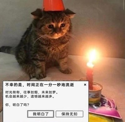 这是一张经过P图改编的网络梗图，画面主体是一只戴着简易红色小帽子的虎斑猫咪，它神情低落、满是惆怅地坐在桌前，面前的小型容器里插着一根正在燃烧的红色蜡烛，场景看似是在为猫咪庆祝生日。画面下方叠加了一个仿电脑系统提示框的弹窗，里面写着充满丧感的文字：“不幸的是，时间正在一分一秒地流逝。时光匆匆，往事如烟，未来如梦。机会越来越少，遗憾越来越多。你，明白了吗？”，并配有“我明白了”和“保持无知”两个选项按钮。图中用生日本应欢乐的场景，搭配直击人心的丧系时间感悟，形成强烈反差，精准传递出人们对时间流逝、人生遗憾的焦虑情绪，带有黑色幽默和emo感，很容易引发共鸣。