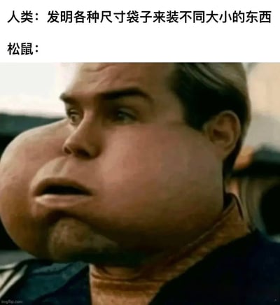 这是一张顶配底文的搞笑梗图，顶部先说明人类需要发明不同尺寸的袋子来盛放大小各异的物品，随后引出松鼠的对应表现，下方搭配经PS处理的真人脸部图像：人物脸颊被修改得极度鼓胀，和松鼠存储食物时撑满的腮囊形态高度相似，用夸张恶搞的方式调侃松鼠自带天然的储物空间，不需要额外借助袋子，形成趣味反差感。
