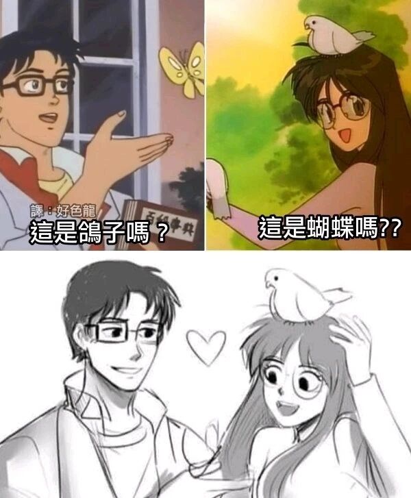 未知老动画