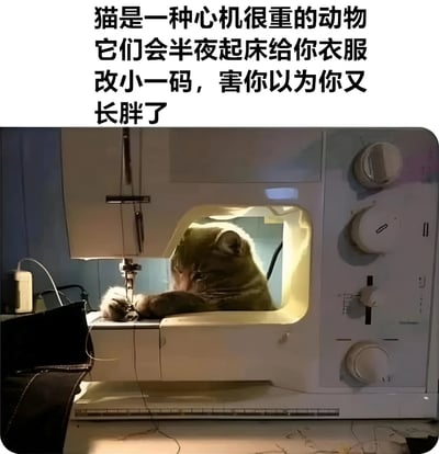 图片上方有文字'猫是一种心机很重的动物 它们会半夜起床给你衣服改小一码，害你以为你又长胖了'，下方是一只猫正坐在缝纫机前，前爪放在缝纫机操作台上，似乎正在'缝制'衣服的搞笑场景。通过拟人化手法幽默地表现猫咪调皮捣蛋的特性，暗示猫咪会故意制造让主人误会自己长胖的假象。