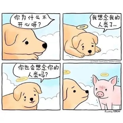 这是一组四格连环卡通漫画，场景设定在天堂：第一格中，一只头顶光环的小狗神情低落，被未露面的角色询问“你为什么不开心呀？”；第二格小狗趴在云上，流着眼泪诉说“我想念我的人类了...”，表现出对主人的思念之情；第三格小狗带着泪痕，转头询问旁边同样在天堂的小猪“你也会想念你的人类吗？”；第四格小猪红着眼眶，神情委屈悲伤却没有说话。这个漫画的核心是反差梗：小狗的人类是疼爱它的主人，而小猪的“人类”是将它吃掉的人，两者的“想念”有着截然不同的悲伤内核，是带有讽刺意味的情感反差。