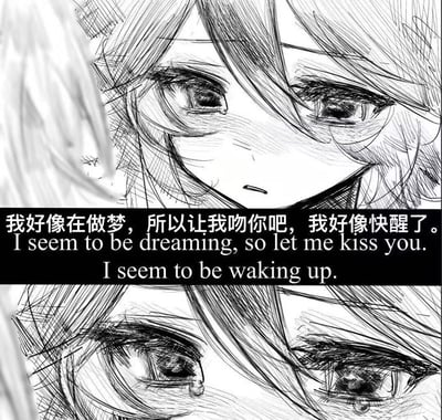 这是一张漫画风格的分镜图，角色表现出情绪高潮，画面上有中英文双语字幕：“我好像在做梦，我好像快醒了。”英文为“I seem to be dreaming. I seem to be waking up.”整体充满梦境与现实交替、觉醒的画面感。角色眼眶含泪，配文常被用来表达伤感、emo或者人生顿悟等情感。无明显谐音梗或暗示，氛围感强烈，适合配图使用。