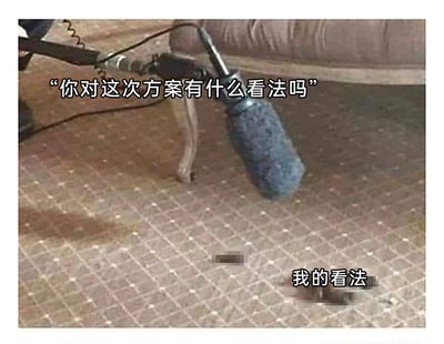 这是一张针对职场场景创作的搞笑梗图，画面上方有一个对着地面的采访麦克风，配文“你对这次方案有什么看法吗”，模拟职场中被领导或同事询问方案意见的场景；下方地毯上有一块污渍，配文“我的看法”，用污渍隐喻对方案的负面评价，以隐晦、幽默的方式表达职场人不敢直接吐槽方案问题，只能通过这种方式宣泄不满的心态，利用隐喻和职场场景共鸣制造笑点。