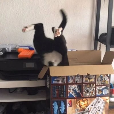 一只黑白相间的猫咪正从一个印有乐高积木图案的纸箱中以夸张的后空翻姿势跳出，四肢和尾巴高高翘起，动作充满戏剧性和趣味性。背景中可以看到一个白色的架子，上面放着一台黑色打印机和一把橙色玩具枪，营造出典型的家庭室内环境氛围。猫咪的灵活身手与日常家居场景形成有趣对比，让人忍俊不禁。