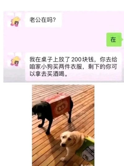 这是一张图文混排的多图拼接趣味内容，上半部分是夫妻的聊天记录截图：妻子先询问丈夫是否在，得到丈夫肯定回复后，告知丈夫桌上放了200元，让他用这笔钱给家里的小狗买两件衣服，剩下的钱可以用来买酒。下半部分是实拍图，展示了两只狗，一只黑狗站在木质地板上，身上套着红色的酒箱子，一只黄狗趴在地板上，身上套着绿色的酒箱子。显然丈夫钻了妻子话语的空子，把原本用来买狗衣服的钱都买了酒，然后用酒箱子当作狗的“衣服”，用这种搞笑的方式完成了妻子的要求，制造出荒诞又滑稽的效果，是典型的文字游戏类搞笑梗图。
