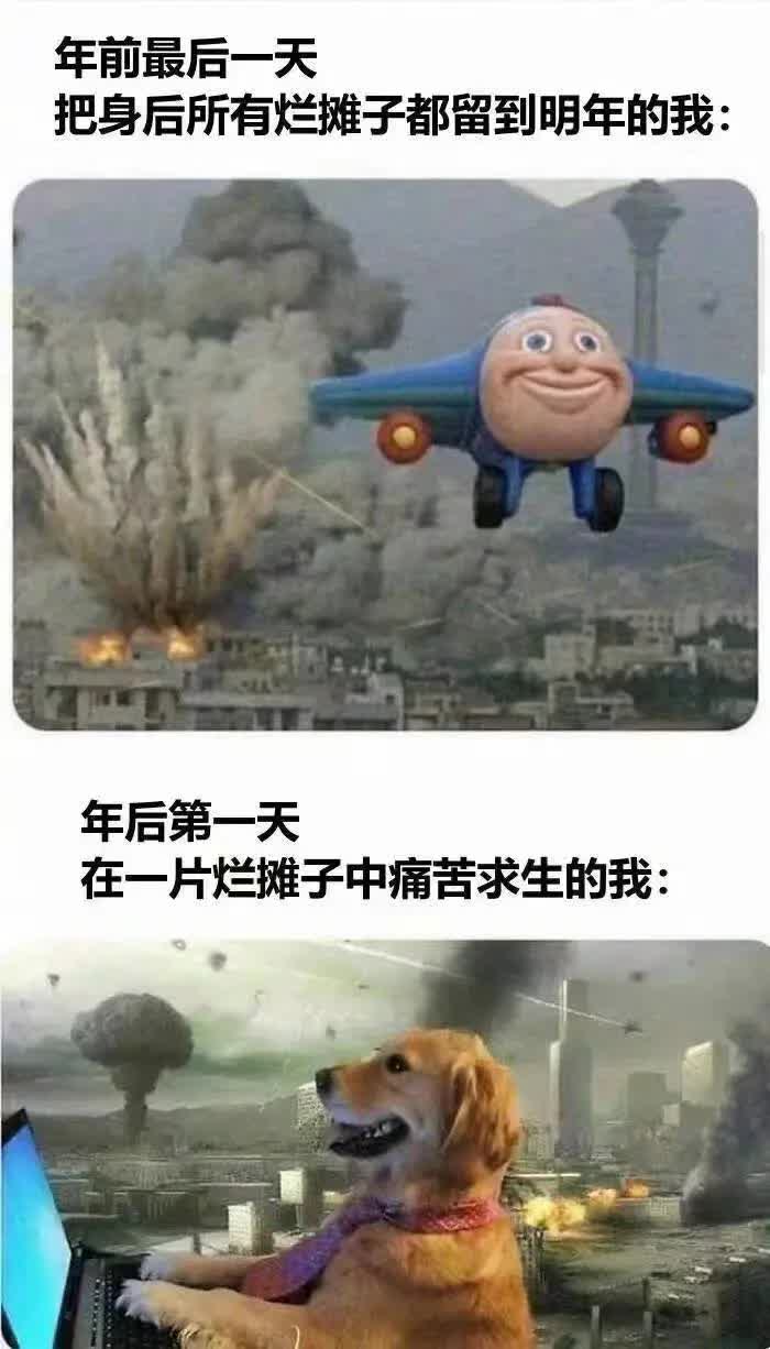 狗狗打字网络迷因