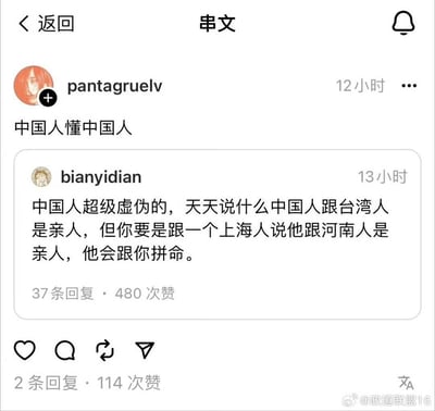 社交媒体平台截图，显示用户"pantagruelv"发布的帖子标题为"中国人懂中国人"，下方有用户"bianyidian"的评论称："中国人超级虚伪的，天天说什么中国人跟台湾人是亲人，但你要是跟一个上海人说他跟河南人是亲人，他会跟你拼命。"评论获得37条回复和480次赞，帖子本身有2条回复和114次赞。截图底部有水印"@政道联盟16"。