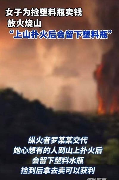 这是一则社会新闻的资料画面，背景是燃起山火、浓烟弥漫的山林。画面通过文字详细披露了一起荒诞的纵火事件：纵火者罗某某为了获取上山扑火人员留下的塑料瓶卖钱，故意放火烧山。她的作案动机是认为扑火人员在山上扑火后会留下塑料水瓶，将这些瓶子捡去售卖就能获利。这种为了微薄利益不惜犯下严重错误的行为，充满了荒诞和离谱的色彩。