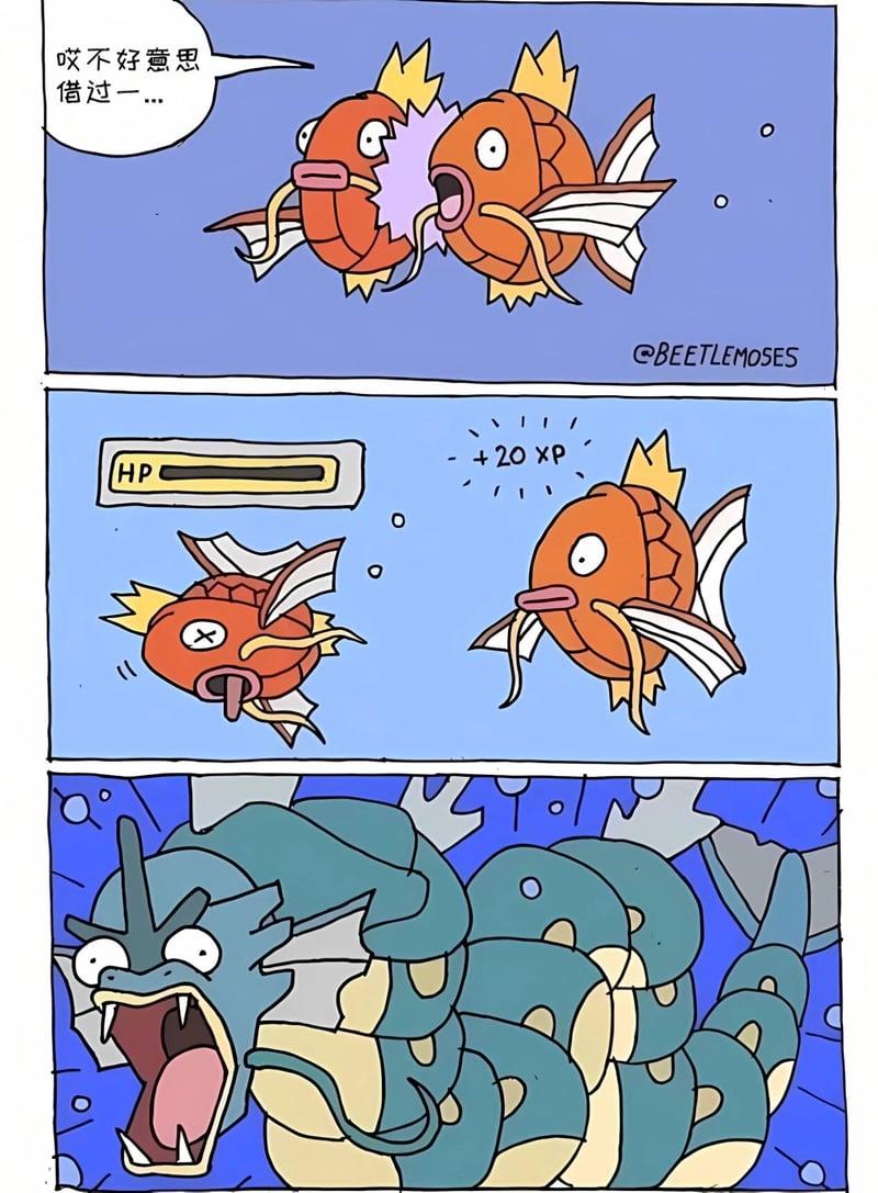 鲤鱼王