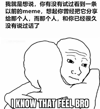 这是一张黑白线稿风格的meme图片，画面上方有一段中文文字："我就是想说，你有没有试过看到一条以前的meme，想起你曾经把它分享给那个人，而那个人，和你已经很久没有说过话了"。图片下方是一个单手撑头、表情悲伤沉思的卡通人物形象，底部配有英文文字"I KNOW THAT FEEL BRO"。整体表达了看到旧meme时想起久未联系的人而产生的怀旧和伤感情绪。