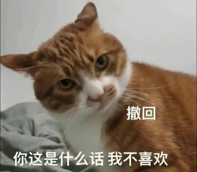 一只橘白相间的猫，表情看起来有些困惑和不满，正歪着头看向镜头。图片上叠加了文字“撤回”和“你这是什么话 我不喜欢”，形成一个表达不满并想要撤回话语的表情包。