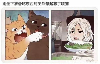 暂无描述