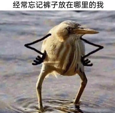 一张幽默的图片，展示了一只站在水中的鸟，其翅膀被编辑成类似人类叉腰的姿势。图片上方配有文字'经常忘记裤子放在哪里的我'，通过动物拟人化的手法，幽默地表达了健忘的日常困扰。