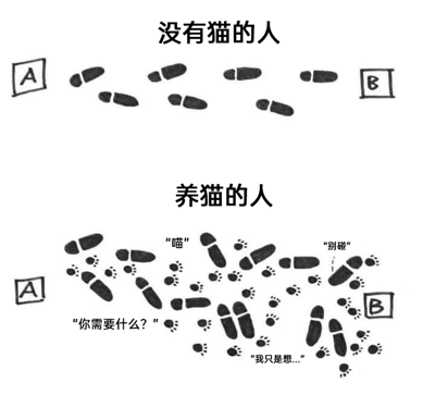 这是一张上下结构的对比静态图，通过脚印轨迹和场景对话，趣味化呈现养猫与没养猫的人的出行状态差异。上半部分标题为“没有猫的人”，展示了从标记点A到标记点B的清晰、连贯的人类脚印，行进路线顺畅直接；下半部分标题为“养猫的人”，画面中除了人类脚印，还混杂了大量猫爪印，人类脚印的轨迹变得杂乱无章，同时配有四句模拟养猫人出门时的对话：“喵”“你需要什么？”“别碰”“我只是想...”，生动还原了养猫人出门时会被猫咪频繁纠缠、干扰，导致行程被打断、变得混乱的日常场景，精准调侃了养猫人群在生活中被猫咪“牵绊”的真实困扰，容易引发养猫用户的共鸣。