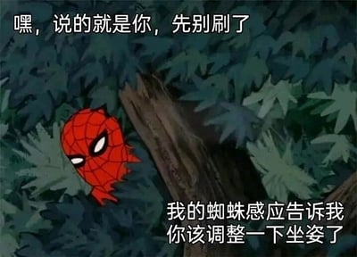这是一张基于老版蜘蛛侠动画截图改编的趣味提醒图，画面中Q版的蜘蛛侠从茂密的树林与树干的缝隙里探出头，神情严肃。图中配有两段接地气的中文文字，上方文字直接喊话观看者“嘿，说的就是你，先别刷了”，下方文字结合蜘蛛侠的经典设定“蜘蛛感应”玩梗，说道“我的蜘蛛感应告诉我你该调整一下坐姿了”。这张图用幽默的方式，针对当下人们长时间低头刷电子设备、坐姿不良的普遍情况，进行健康提醒，既贴合角色的经典设定，又能让观看者会心一笑，容易引起共鸣，常被用作社交媒体上的趣味表情包，用来调侃或提醒身边久坐的朋友。