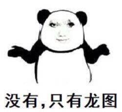 这是一张中文互联网常见的合成熊猫头表情包，将卡通熊猫的身体与人类的脸部进行合成，熊猫双臂向两侧摊开，呈现出无所谓的姿态，图片下方配有文字“没有，只有龙图”，以戏谑的语气表达拒绝其他选项、只认可“龙图”相关内容的态度，常用于在线聊天中回应他人的请求或选择，传递出一种强硬又带点调侃的情绪。