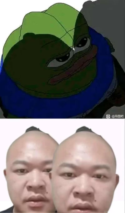 这是一张上下拼接的对比梗图，上图是将知名网络表情包悲伤蛙（Pepe the Frog）的脸通过P图合成到类似下图的双人同框构图中，下图是两位光头男子紧挨在一起的真实人物画面。二者的构图、神态高度相似，悲伤蛙的无奈表情和两位男子呆滞的神情完美契合，制造出荒诞搞笑的撞脸效果，没有双关或谐音梗。