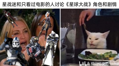 这张图是基于经典外网梗图“Woman Yelling at a Cat”改编的星战主题趣味梗图。左侧原本是真人秀《比弗利娇妻》中激动大喊的女性，其位置被叠加了多位《星球大战》衍生动画中的核心角色，包括阿索卡·塔诺、雷克斯上尉以及残次品小队的成员，这些角色的动态和背景女性激动的神态结合，生动表现出深度星战迷在讨论系列角色与剧情时的亢奋、滔滔不绝的状态；右侧的猫咪则代表仅看过《星球大战》主线电影的普通观众，面对星战迷的热情输出，露出茫然又无奈的表情，精准还原了两类星战受众在讨论相关内容时的强烈反差，十分贴合粉丝圈层的日常交流场景，容易引发星战爱好者的共鸣。