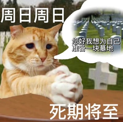 这是一张针对当代职场人周日综合征创作的搞笑表情包。画面主体是一只双眼无神、表情绝望的橘猫，它将爪子交叠放在桌上，背景是一片墓地。图片上方标注“周日周日”，底部配文“死期将至”，橘猫的对白气泡里写着“您好我想为自己准备一块墓地”，用极度夸张、戏谑的方式，生动地表达了周日即将结束、周一工作日临近时，职场人内心的焦虑、抗拒与痛苦，精准戳中了当代打工人的情绪痛点。