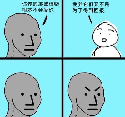 暂无描述