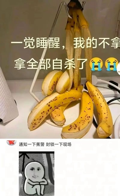 这是一张由上下两部分拼接而成的趣味梗图，上半部分是实拍的带黑斑的成熟香蕉，原本挂在白色金属香蕉架上的多根香蕉自然脱落，果肉部分朝下摆放，搭配文字“一觉睡醒，我的不拿拿全部自杀了😢😢”，其中“不拿拿”是英文“banana”的谐音，将香蕉拟人化，调侃香蕉脱落的状态如同“自杀”；下半部分是一条网友评论“通知一下蕉警 封锁一下现场”，“蕉警”是“交警”的谐音，延续了拟人化的搞笑设定，同时搭配一个抱臂坐着、表情搞怪的卡通小人表情包，进一步强化了趣味氛围。整张图通过谐音梗和拟人化的创意，将日常的水果自然脱落场景转化为搞笑的“案发现场”，充满趣味性。