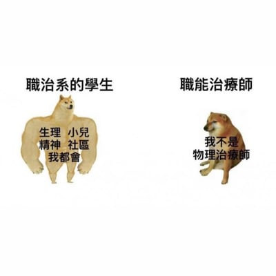 图片分为左右两部分形成鲜明对比。左侧是一只拥有夸张肌肉手臂的柴犬，上方文字标注“職治系的學生”，胸前配有“生理 小兒 精神 社區 我都會”的文字，展现出自信满满的姿态；右侧是一只低头坐着、表情委屈的柴犬，上方文字标注“職能治療師”，下方配有“我不是物理治療師”的文字，流露出无奈的情绪。该图通过幽默的方式调侃了職能治療专业学生理想中全能与实际工作中常被误认为物理治療師的反差。