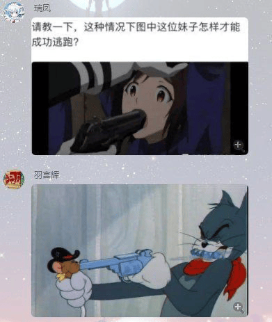 不明动画作品（疑似原神/魔法少女类）