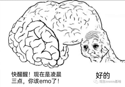 这是一张黑白线稿风格的meme梗图，画面主体是一个被拟人化的大脑，大脑的一端延伸出一张满脸皱纹、眼神疲惫憔悴的老人脸，形象化地表现出深夜被情绪支配时的精神状态。画面左侧配文是拟人化大脑的“指令”：“快醒醒！现在是凌晨三点，你该emo了！”，右侧老人脸对应的回应是“好的”，精准还原了当代年轻人普遍存在的深夜情绪困境——在凌晨时分，情绪容易不受控制地低落、陷入emo状态，明明想休息却被负面情绪裹挟。整幅图用生动的拟人化手法和扎心的文字，调侃并引发了网友对深夜emo经历的强烈共鸣。