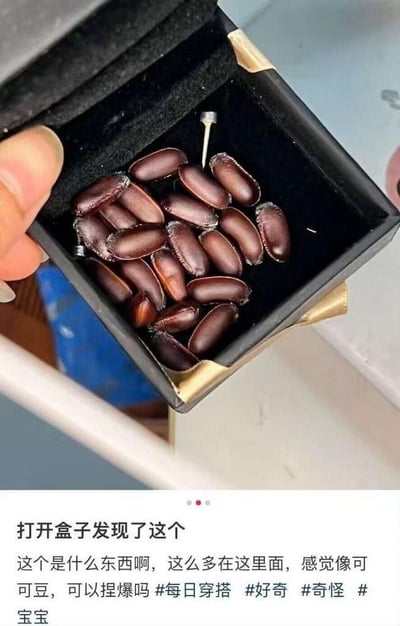 图片中一只手正打开一个黑色丝绒首饰盒，盒内整齐摆放着数十颗棕褐色椭圆形物体，外观酷似可可豆，中央还插着一根银色细针。盒子下方配有文字：“打开盒子发现了这个 这个是什么东西啊，这么多在这里面，感觉像可可豆，可以捏爆吗 #每日穿搭 #好奇 #奇怪 #宝宝”，字里行间充满对盒内物品的疑惑与好奇，仿佛是日常生活中遇到的小意外发现。