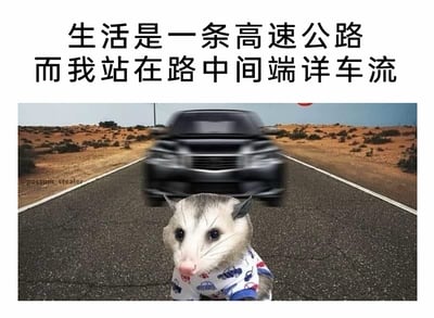这是一张图文结合的情绪梗图，顶部配有文字“生活是一条高速公路，而我站在路中间端详车流”。画面背景是荒漠环境中的一条高速公路，路面上一辆黑色汽车正快速朝镜头方向驶来，呈现出模糊的动态感，凸显出速度感与紧迫感；前景处一只穿着印有汽车图案的可爱衣服的负鼠，安静地坐在公路正中间，眼神平静，带着茫然的神态，与身后快速移动的汽车形成鲜明对比。整体画面结合文字，生动地传递出一种在快节奏的生活洪流里，自己却停滞不前、以旁观者的姿态面对周遭快速变化的无力感与迷茫感，精准契合当下年轻人时常感受到的“丧”情绪，具象化表达了与快节奏生活脱节、无法融入的心境。