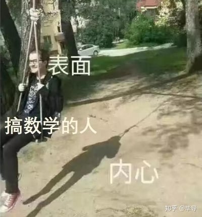 这是一张利用视觉错位效果制作的搞笑梗图。图中表面是一位戴眼镜的人坐在户外秋千上，脸上带着笑容，配文标注为“表面 搞数学的人”；而地面上的人物影子因为光影巧合，看起来像是被绳子勒住脖子的状态，配文标注为“内心”。通过这种强烈的表面与内心的反差，夸张地调侃了数学从业者或学习数学的人，看似轻松的外表下，实则承受着巨大的精神压力，内心满是痛苦与崩溃，用幽默的方式戳中了这类人群的真实心境。