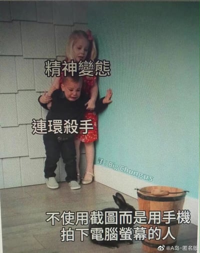 这是一张搞笑网络梗图，基于一张孩童互动的真人照片改编而成。图中为两个孩童添加了夸张的调侃性标注：将后方的女孩标注为“精神变态”，前方哭泣的男孩标注为“连环杀手”，底部的核心文字点明了调侃的对象——“不使用截图而是用手机拍下电脑屏幕的人”，用反差感将这种在网络分享中多此一举的行为比作可怕的角色，制造出荒诞搞笑的效果，引发网友对这类不必要操作的共鸣。图中还带有翻译标注“譯：Big Chungus”，右下角有微博用户“A岛-匿名版”的水印。