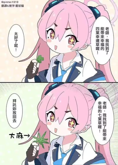 这是一张基于游戏《蔚蓝档案》角色小鸟游星野创作的两格连环搞笑梗图。第一格中，星野兴奋地拿着四叶草，向老师分享自己找到的“能带来幸福的四叶幸运草”，老师欣慰回应；第二格中，星野拿出大麻叶，将其恶搞成“能带来幸福的七叶草”，老师立刻慌张地让她放回去。笑点在于利用四叶草、七叶草代表幸运的普遍认知，与大麻的违禁属性形成强烈反差，制造出无厘头的搞笑效果。