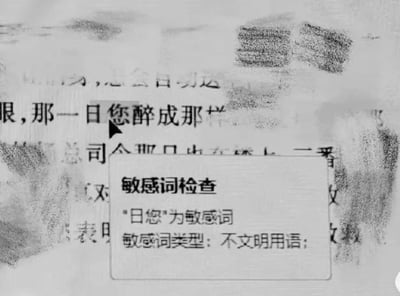 这是一张工具软件的屏幕截图，背景是经过马赛克处理的文本内容，其中正常语句「那一日您醉成那样」被敏感词检测系统错误分词，将「日您」单独提取判定为敏感词，弹出提示框标注「'日您'为敏感词，敏感词类型：不文明用语」。
笑点在于敏感词检测系统的机械分词错误，把正常断句的内容错误拼接成了不文明用语，属于典型的内容审核误判乌龙事件。