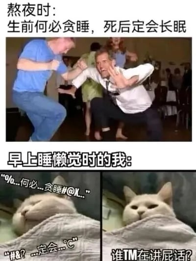 这是一张对比式搞笑梗图，通过上下两部分展现反差萌。上半部分为多人狂欢场景，画面中穿蓝衣服和白衬衫的男子夸张地扭动身体，配文“熬夜时：生前何必贪睡，死后定会长眠”，用民间俗语幽默诠释熬夜时的“豁达”心态；下半部分分左右两格，左侧是裹在被子里半梦半醒的白猫，配文“%0...何必...贪睡#@...N...”（模仿睡迷糊时的口齿不清），右侧是白猫睁眼皱眉的烦躁表情，配文“谁TM在讲屁话?”，生动还原睡懒觉被打扰时的真实反应。整图通过俗语的反差使用和表情包的夸张演绎，自嘲年轻人熬夜与赖床的矛盾日常。