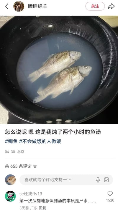 这是一张社交媒体内容截图，上方显示发布者为用户“瞌睡绵羊”，配图为黑色炒锅中盛有浑浊浅色液体，液体里泡着两条外形完整、没有被炖烂的鲫鱼，发布者配文称这是自己炖了两个小时的鲫鱼汤，附带话题#鲫鱼、#不会做饭的人做饭，发布地址为北京，发布时间为4月30日。截图下方显示该内容共有655条评论，热评第一为用户“se还我ffv13”发布的吐槽：“第一次深刻地意识到汤的本质是尸水……”，该评论获得1520个点赞。整段内容属于做饭翻车类搞笑内容，用反差感极强的翻车成果和犀利吐槽制造笑点。