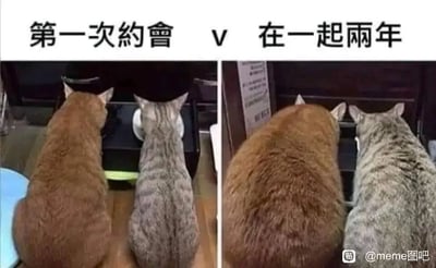 这是一张左右对比的静态梗图，左侧呈现了两只猫咪第一次约会时的背影，它们体型匀称，端正地朝向食盆；右侧则是这两只猫咪在一起两年后的背影，二者的体型明显发胖，背部变得宽厚圆润。图片上方的文字“第一次约会 v 在一起两年”点明了对比主题，用宠物的体型变化来调侃情侣相处时间久了，生活愈发安逸舒适，体重随之增长的有趣日常，生动形象的对比极易引发有类似经历的人群共鸣。