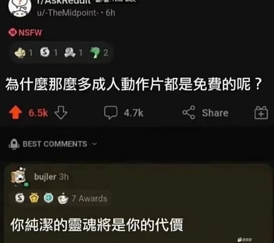 这是一张经过中文翻译的海外Reddit论坛截图，展示了r/AskReddit板块的一则问答内容。楼主u/-TheMidpoint-发布了带有NSFW（18+）标识的提问“为什么那么多成人动作片都是免费的呢？”，该帖子收获了6.5k点赞与4.7k条评论。用户bujler发布的回复“你纯洁的灵魂将是你的代价”获得了7个论坛奖项，成为最高赞的神回复，以调侃的方式回应了楼主的问题。截图右下角带有皮皮虾的水印，说明该内容被搬运到了国内的皮皮虾平台进行传播。